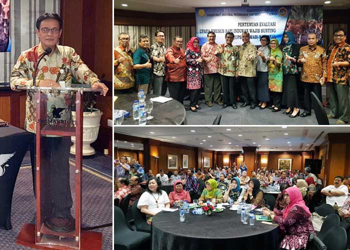 Target 4 Juta, Ditjen Peternakan Kementan Realisasi Sapi Bunting Siwab 3,69 Juta Ekor